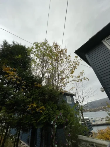 dbag72bfkbrityf0mh97