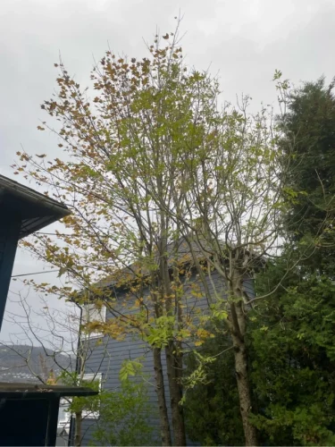 j9vamchpxrznnhw5vrcv