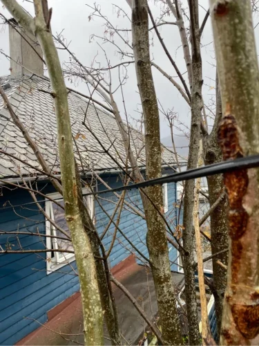 rufwhv3vvkzu2t6cfwvl